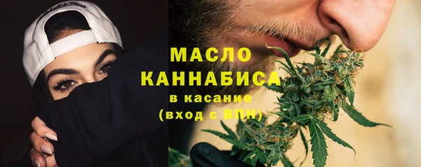 мдпв Богданович