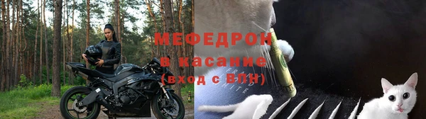 spice Богородск