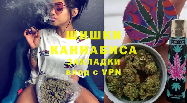 spice Богородск