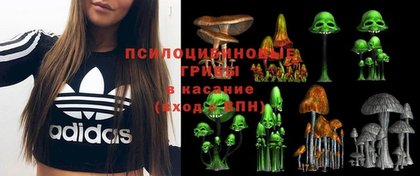 spice Богородск