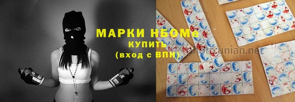 мдпв Богданович