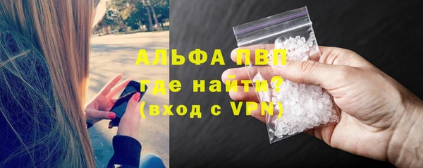 spice Богородск
